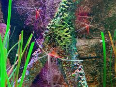 -沈阳海洋探索中心