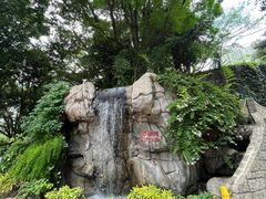 -九龙公园