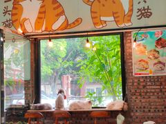 -豆逗聊愈猫阁Easy Life