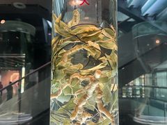 -广东中医药博物馆
