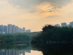 -重庆彩云湖湿地公园