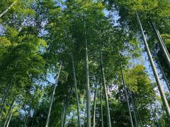 -井空里大峡谷