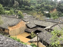-杨家堂村