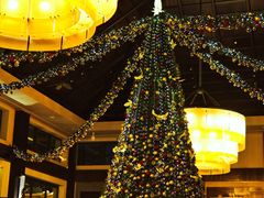 -海南清水湾莱佛士酒店