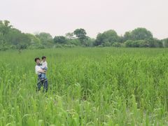 -梁鸿国家湿地公园