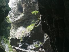 -牛背梁国家森林公园