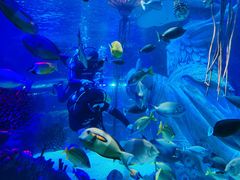 -沈阳海洋探索中心