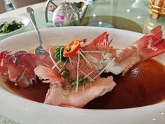 清蒸海鱼-鹏城人家海鲜酒家·23年老字号(较场尾店)