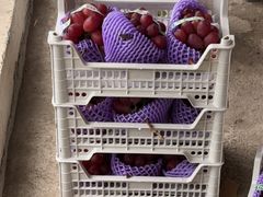 -马陆小张葡萄园农家乐