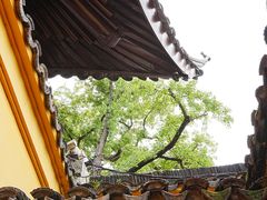 -西园寺素食(西园弄戒幢律寺店)