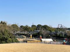 -上海佘山世茂艾美酒店