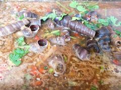 烤钉螺-陈记生蚝烧烤炒菜火锅