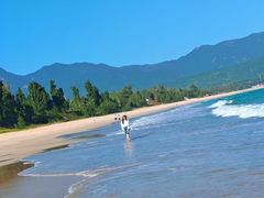 -西涌国际滨海旅游区