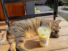-PAUSE CAFE(南秀村店)