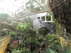 -正佳雨林生态植物园