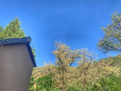 -延安杨家岭革命旧址