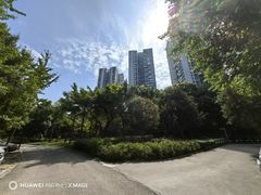 -重庆彩云湖湿地公园