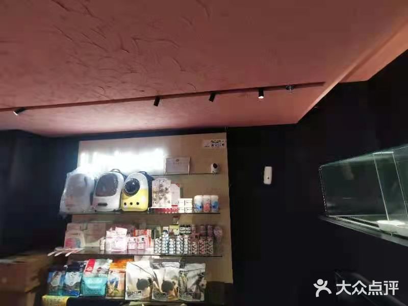 闺蜜我们俩一人买了一只，抱着软绵绵的