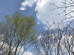 -西湖风景区-江洋畈生态公园