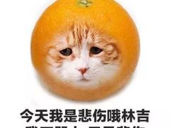 -YO!TEA有茶(科兴科学园店)