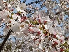 -龟山风景区-龟山电视塔