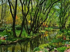 -上海共青森林公园