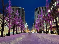 -北海道厅旧本厅舍(旧本庁舎)