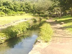 -荔园小馆(园岭新村二期店)