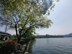 -杭州西湖柳莺里酒店·闻莺厅