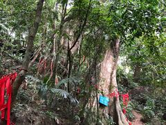 -七仙岭温泉国家森林公园