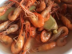 -天乐农家鱼头王(天目湖店)