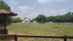 -BabyA 专业婴童摄影(古北时尚广场店)