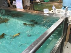 -盒马鲜生(宝地店)