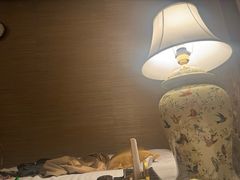 -樱蘭全息养生馆(三里屯店)