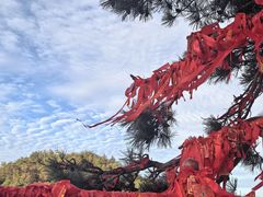 -泰山风景名胜区