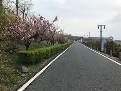 -江南天池