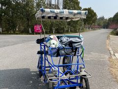 -上海海湾国家森林公园