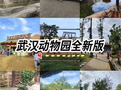 -武汉动物园