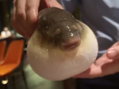 -肆月河豚·淮扬菜·湘菜(华天店)