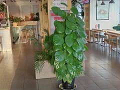 -嘉和一品粥(方庄店)