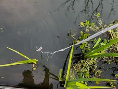 -昆山城市生态森林公园