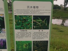 -两河城市森林公园