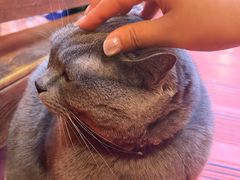 -王老六铁锅炖鱼(圣亚海洋店)