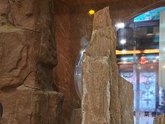 -鹊华居·地道鲁菜·海鲜·融合味(大明湖店)