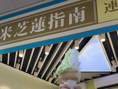 -柠檬车露(卖草地店)