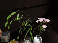 -大拙里·精致融合菜(沙湖桃源国际店)