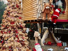 -HERRE·FARM 赫尔露营农场·团建聚会包场