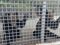 -水上乐园·欢乐世界