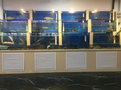 水产区-合家院饭庄(榆关道店)