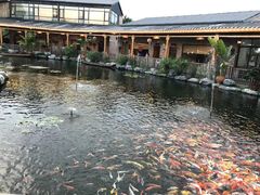 景观位-大门水乡·顺德菜